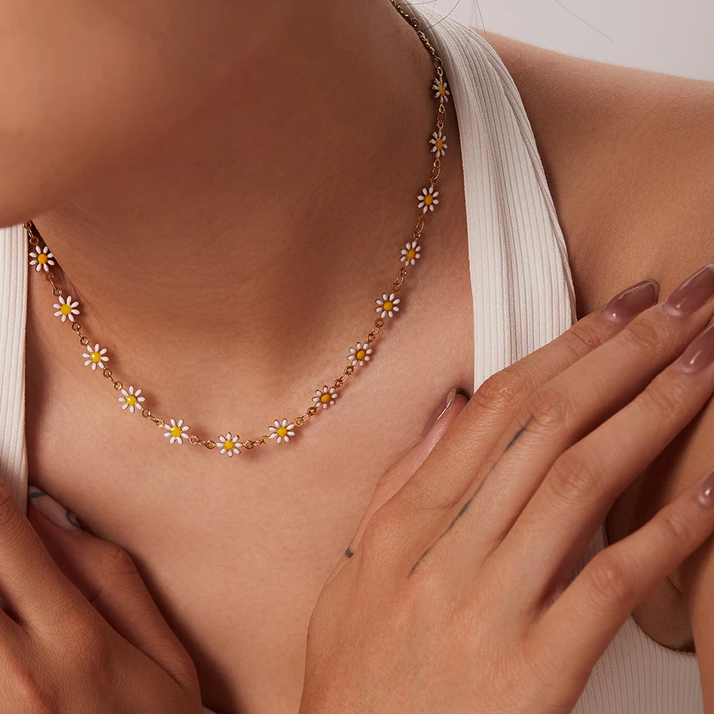 S676b9850e5764e7eb2d08c2e5fe3d0a6o